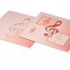 Notenhüllen aus Karton für Veeh-Harfe Standard, Zauberharfe, 21 und 25 Saiten