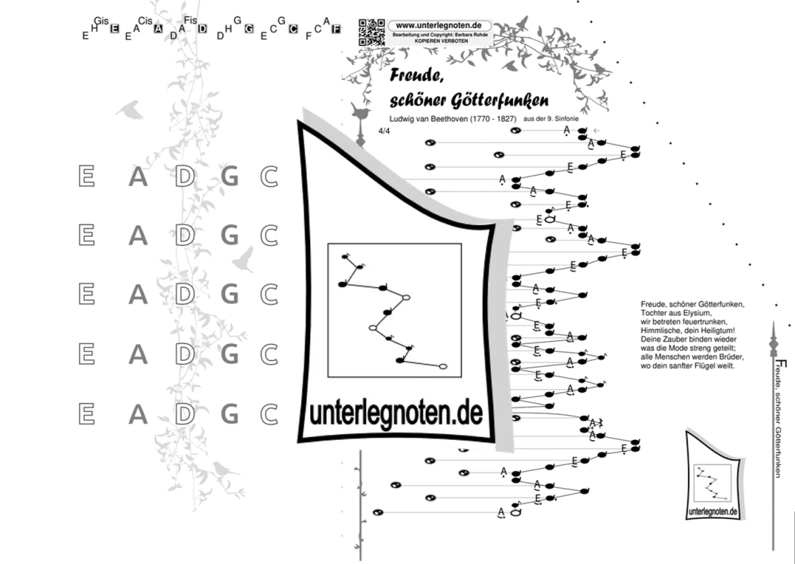 rohdemusik.de