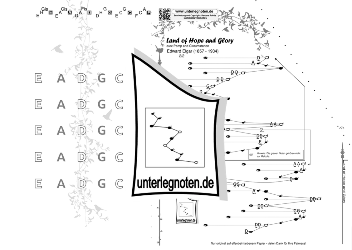 rohdemusik.de