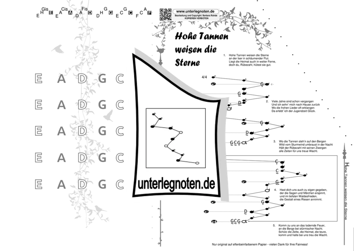 rohdemusik.de